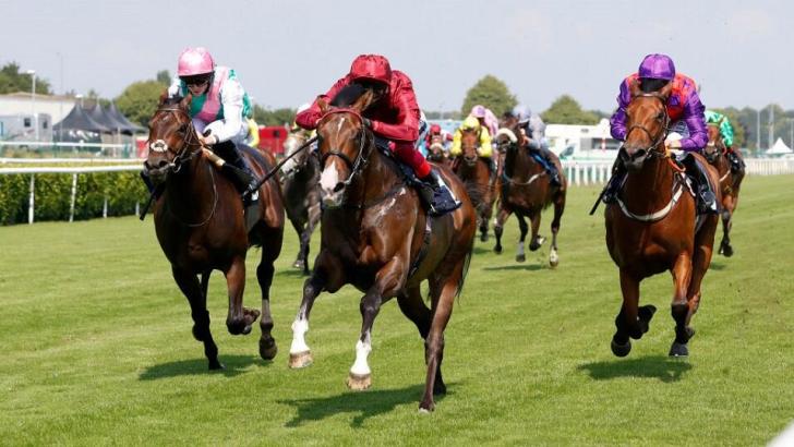 Horses running